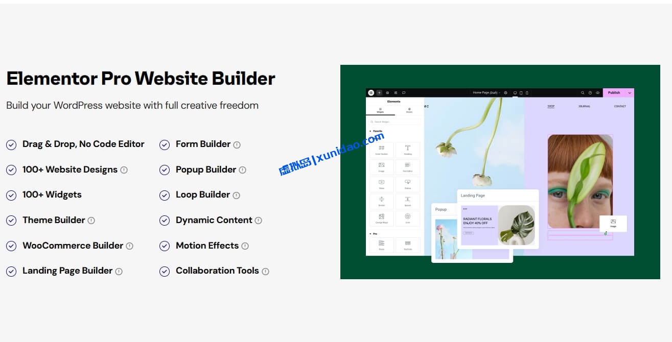 最新版Elementor Pro WordPress页面编辑器插件破解版下载