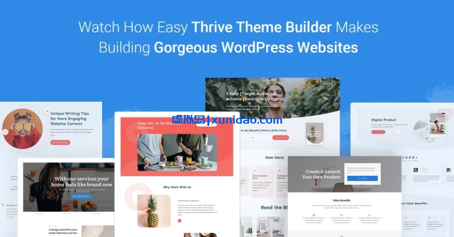 Thrive WordPress多功能主题模板破解版 中文/英文版 v10.6.1