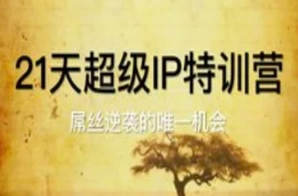【牛老师】21天超级IP特训营:个人IP赚钱必学课