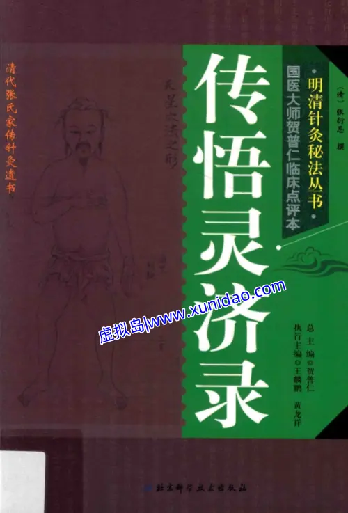 张衍恩【传悟灵济录】 pdf电子书下载