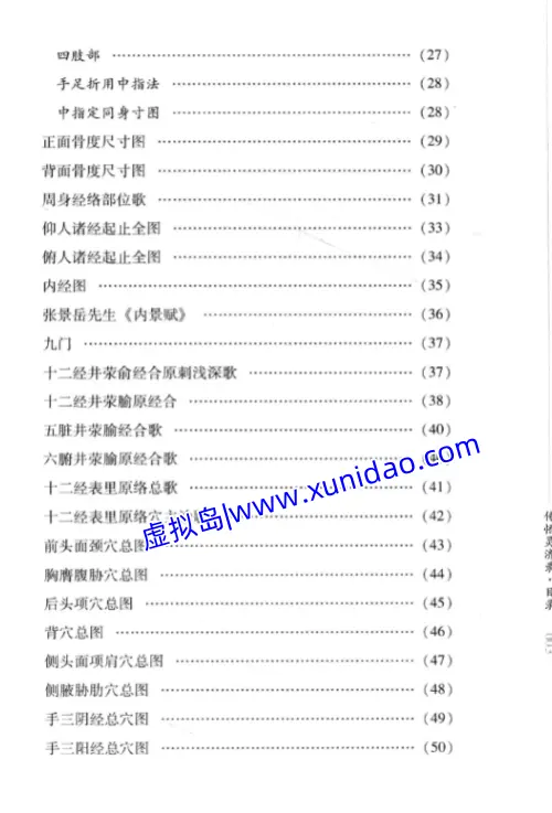 张衍恩【传悟灵济录】 pdf电子书下载