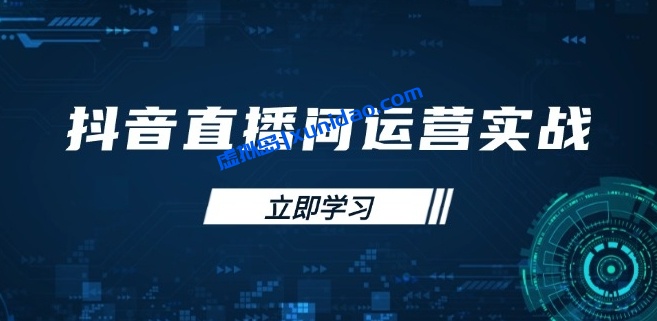 【大果】抖音直播间运营赚钱实战课:掌握付费投流推广提升GMV