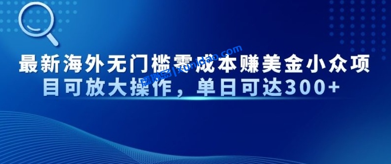 最新海外无脑撸美金小项目：小白矩阵操作日赚300+