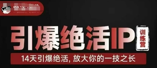 【坤龙】绝活课堂个人IP赚钱训练营:14天引爆个人IP流量增长