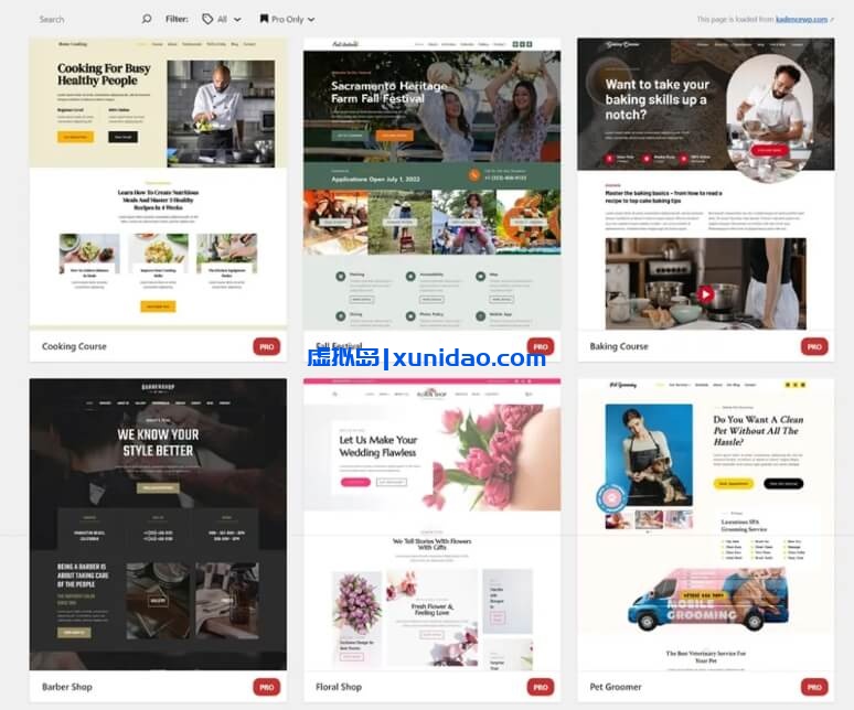 Kadence Pro主题高级插件破解版中文/英文版下载v1.1.10