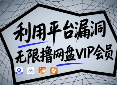 撸网盘VIP会员售卖项目：利用平台漏洞轻松日赚200+