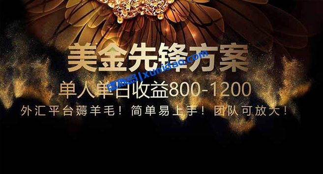 【阿博】外汇平台薅羊毛赚美金项目：简单易上手单人日赚800+