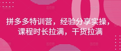 【发宝电商】拼多多运营实战讲解:店铺全流程干货技巧分享