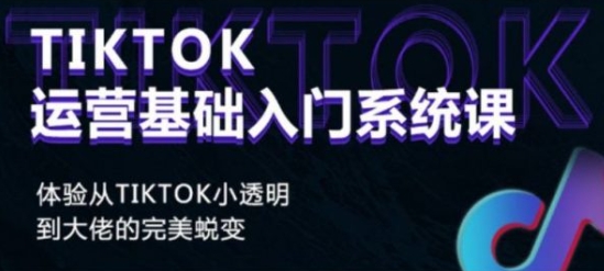 【Grace】TikTok主播运营入门实战课：多领域主播赚钱案例剖析