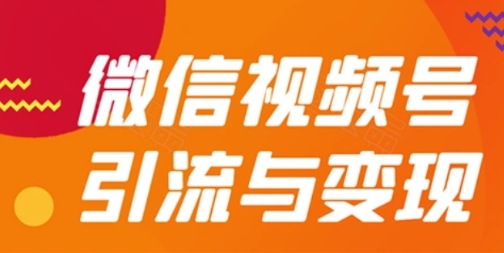 【雯雅】视频号引流裂变赚钱训练营：搭建个人IP把握短视频流量风口