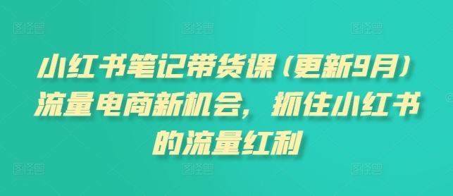 【张宾】小红书笔记带货赚钱课:从0-1学习小红书电商运营推广 【张宾】小红书笔记带货赚钱课:从0-1学习小红书电商运营推广