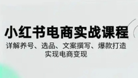 【戴小胖】小红书电商实战赚钱课程：小红书笔记从0-1变现