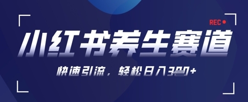 【大典】小红书AI养生赛道赚钱教程：快速引流日赚300+