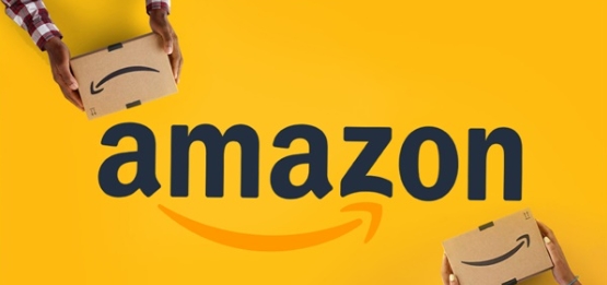 【Skyla讲亚马逊】亚马逊新品老品营销赚钱打法：跨境电商运营系列课