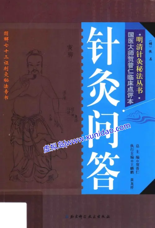 【针灸问答】 pdf电子书下载