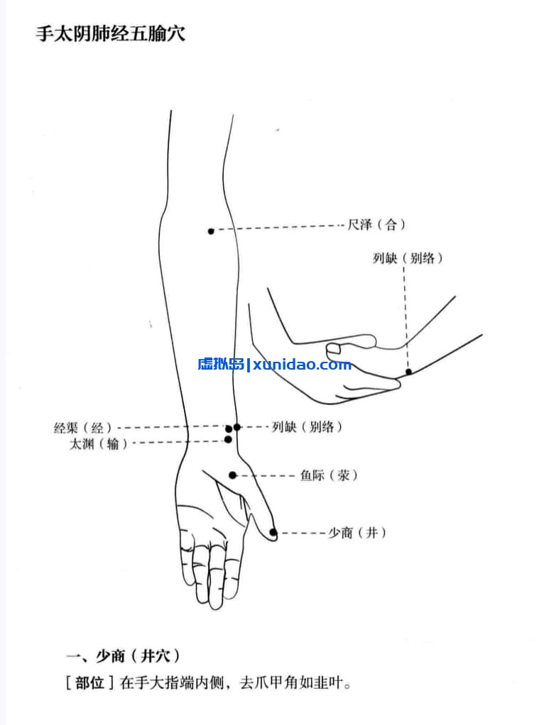 吴棹仙【子午流注说难 附 子午流注环周图】 pdf电子书下载