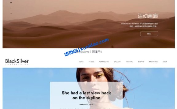 Blacksilver WordPress摄影/图片主题模板破解版 中文/英文版v9.6