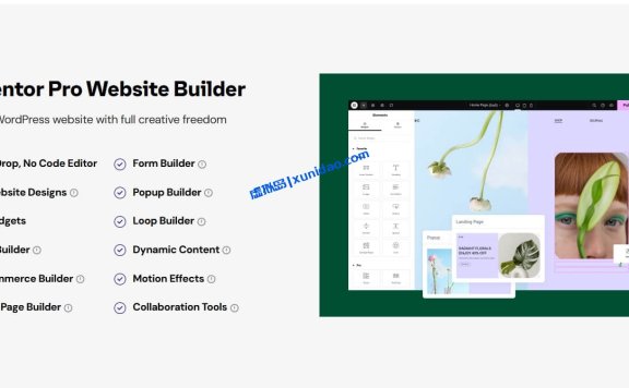 最新版Elementor Pro WordPress页面编辑器插件破解版下载