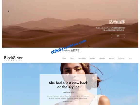 Blacksilver WordPress摄影/图片主题模板破解版 中文/英文版v9.6