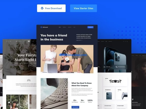 Blocksy WordPress主题高级插件破解版英文/中文版v2.0.98，Blocksy Companion (Premium)