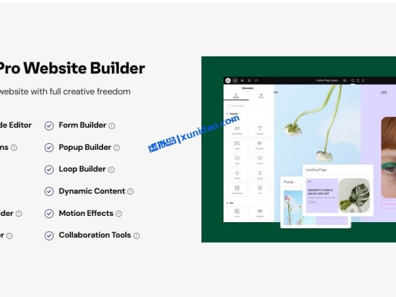 最新版Elementor Pro WordPress页面编辑器插件破解版下载