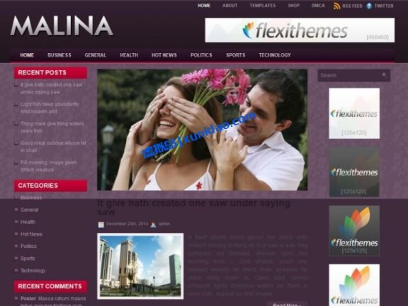 Malina WordPress博客杂志主题模板破解版下载v2.4.1