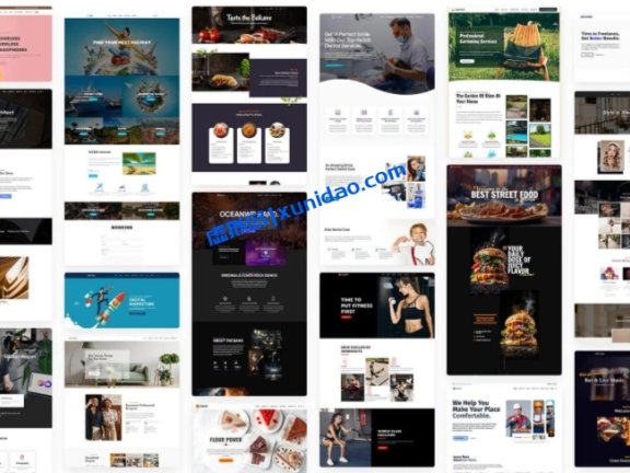 OceanWP Pro WordPress多用途主题模板+高级插件 中文/英文版 v4.0.3