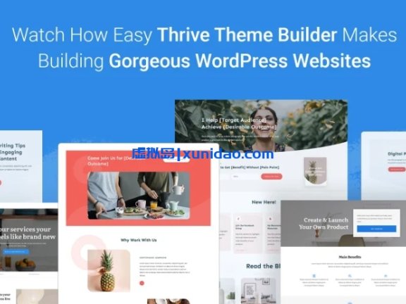 Thrive WordPress主题的高级插件合集