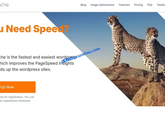 最新版WP Fastest Cache Pro WordPress缓存插件破解版下载