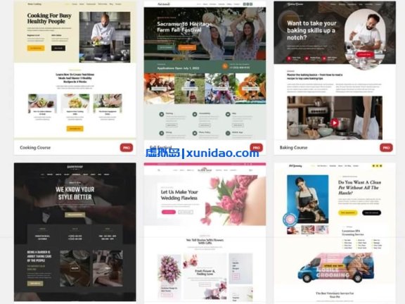 Kadence Pro主题高级插件破解版中文/英文版下载v1.1.10