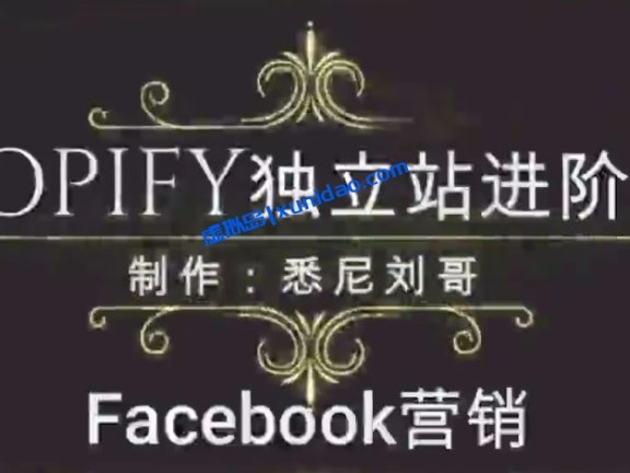 【悉尼刘哥】Shopify独立站引流进阶课程:利用Facebook营销跨境电商